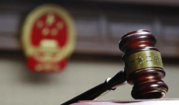 致91岁双胞胎直播笔记,跨越世纪的云端对话